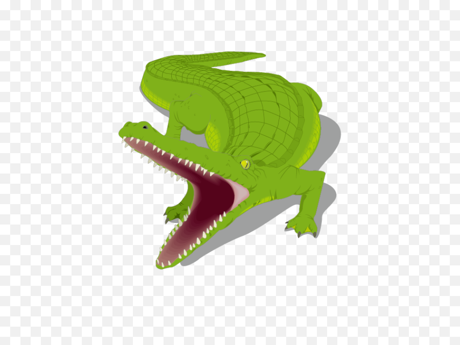 Honey Island Alligator Crocodile - Alligator Clip Art Png,Alligator Png