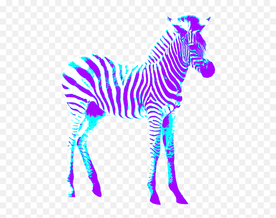 Zebra Colorful Art - Zebra Png,Zebra Png