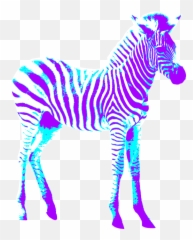 Zebra Colorful Art - Zebra Png,Zebra Png