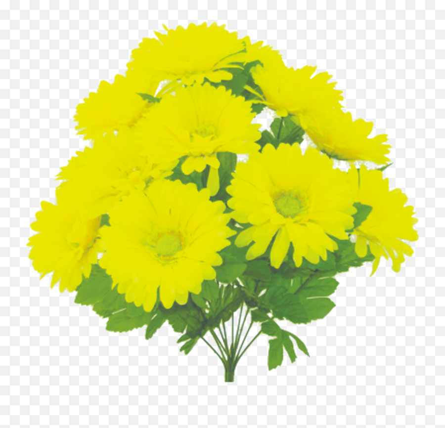 Download 19 - English Marigold Png,Marigold Png