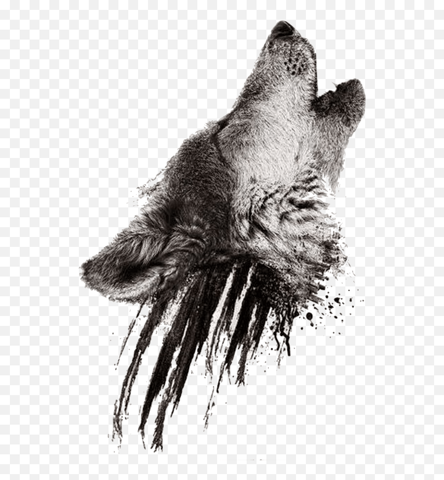 Download Realistic Howling Wolf Head - Howling Wolf Transparent Background Png,Wolf Head Png