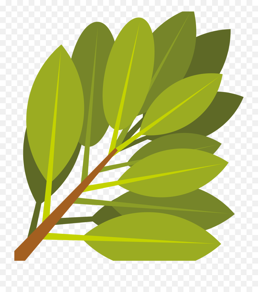 Branch With Green Leaves Clipart Free Download Transparent - Clip Art Png,Leaf Clipart Transparent