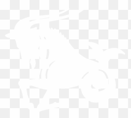 Basic Traits Of Capricorn Character - Roman Legion Legio Ii Augustus Png,Capricorn Png