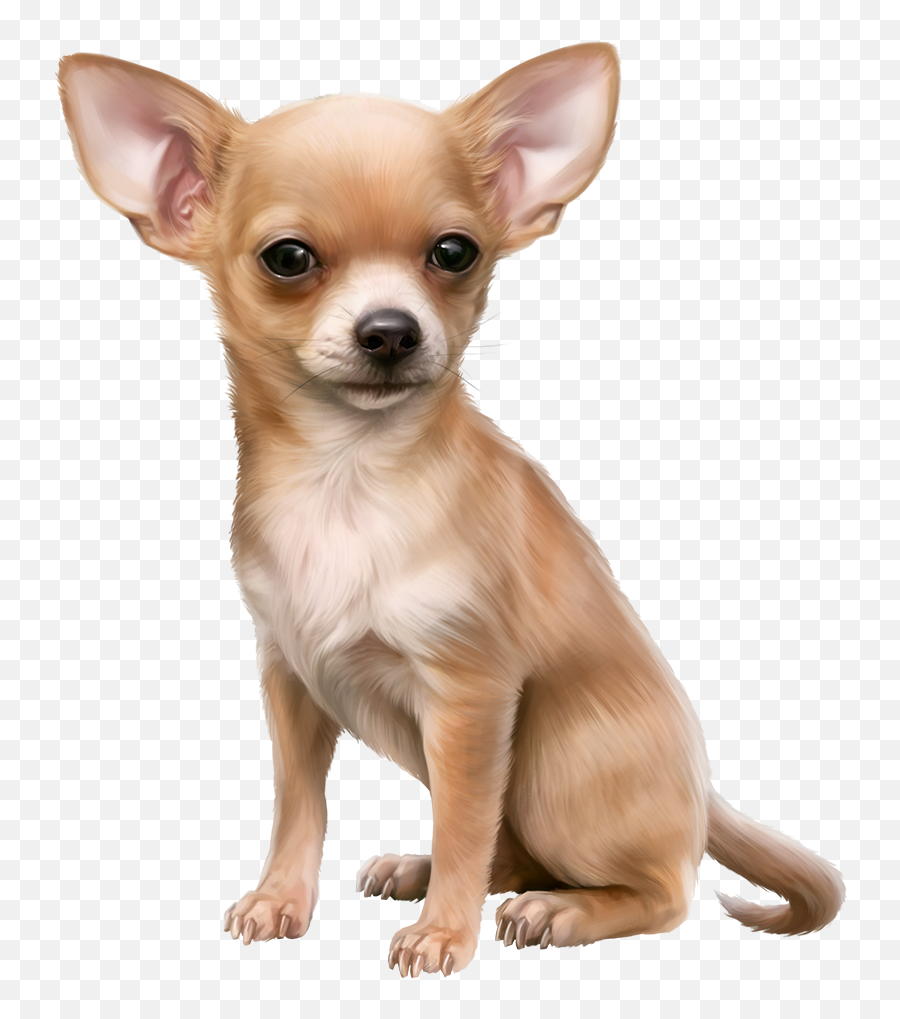 Chihuahua Clipart Cute - Transparent Background Transparent Background Chihuahua Png,Cute Dog Png