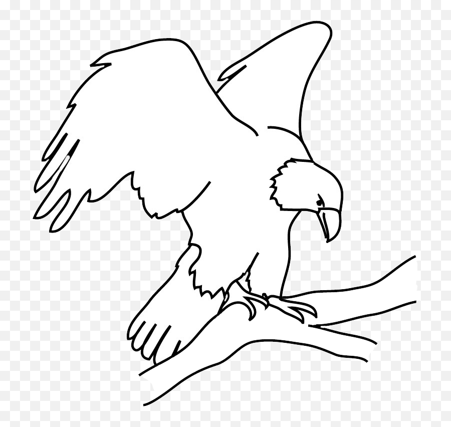 Bald Eagle Drawings - Automotive Decal Png,Eagle Flying Png