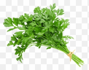 Salsa Unidade - Parsley Bunch Png,Salsa Png