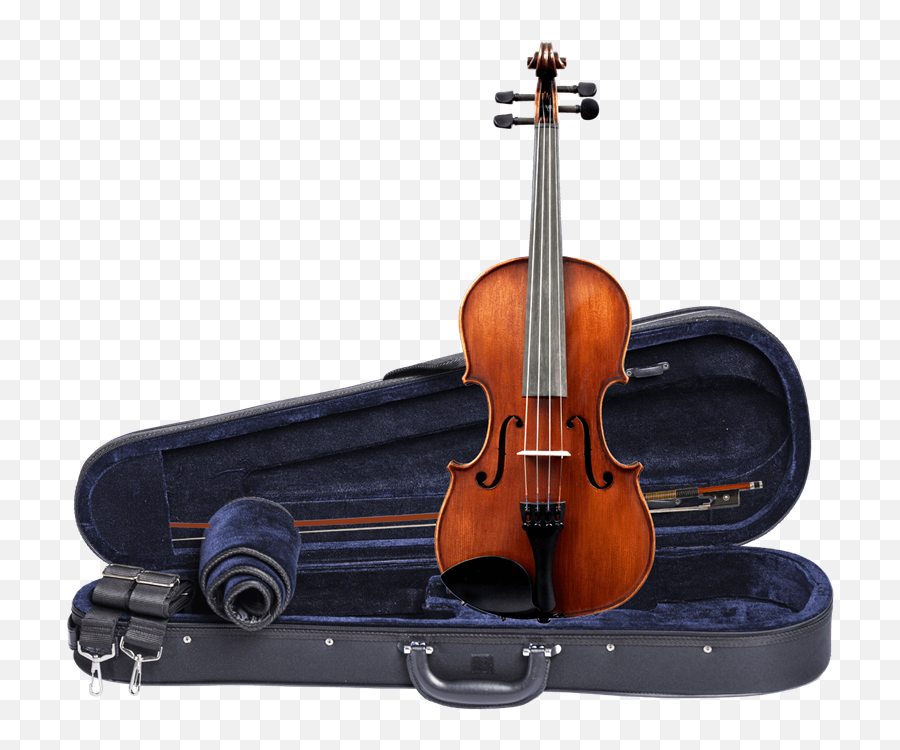 Garman Rochelle Violin Mr Ball - Online Lessons Amati Violin Model 100 Png,Violin Png