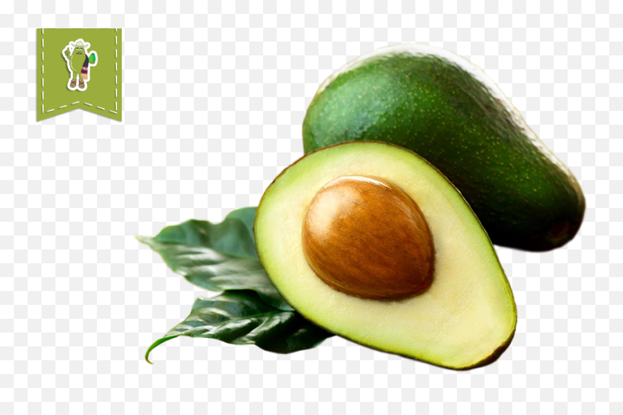 Avocado Fruit Transparent Clipart - Aguacate Hass Png,Aguacate Png