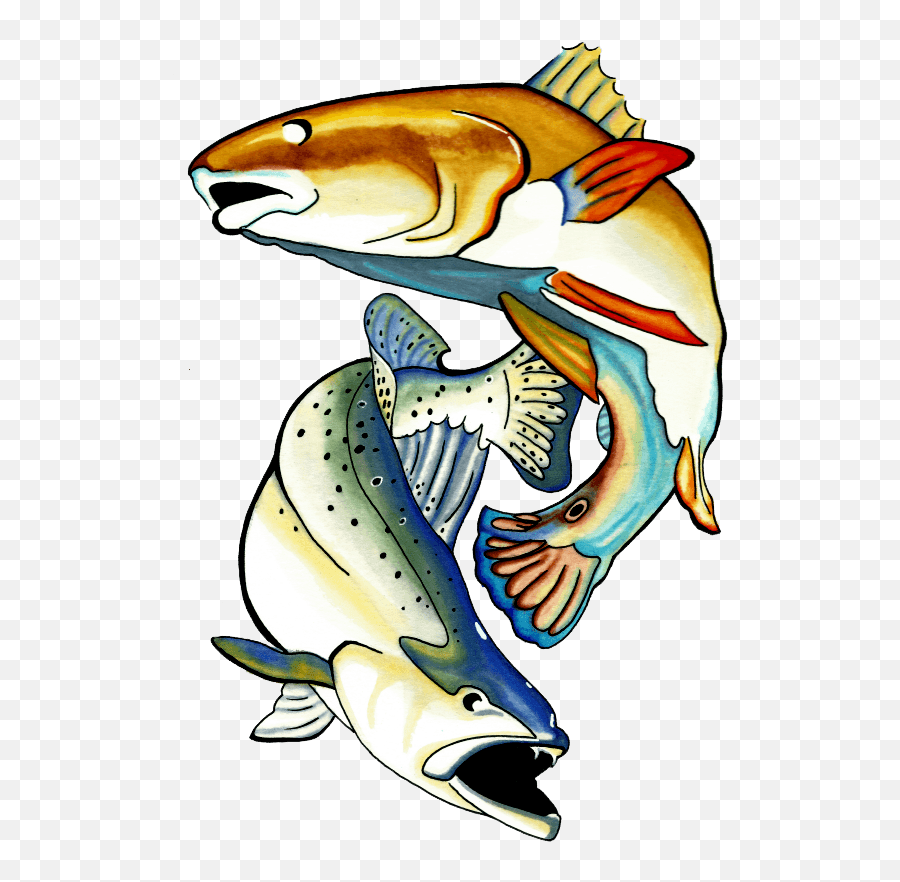Redfish - Nation Charter Communications Clipart Full Clip Art Png,Charter Communications Logo