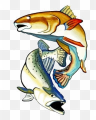 Redfish - Nation Charter Communications Clipart Full Art png