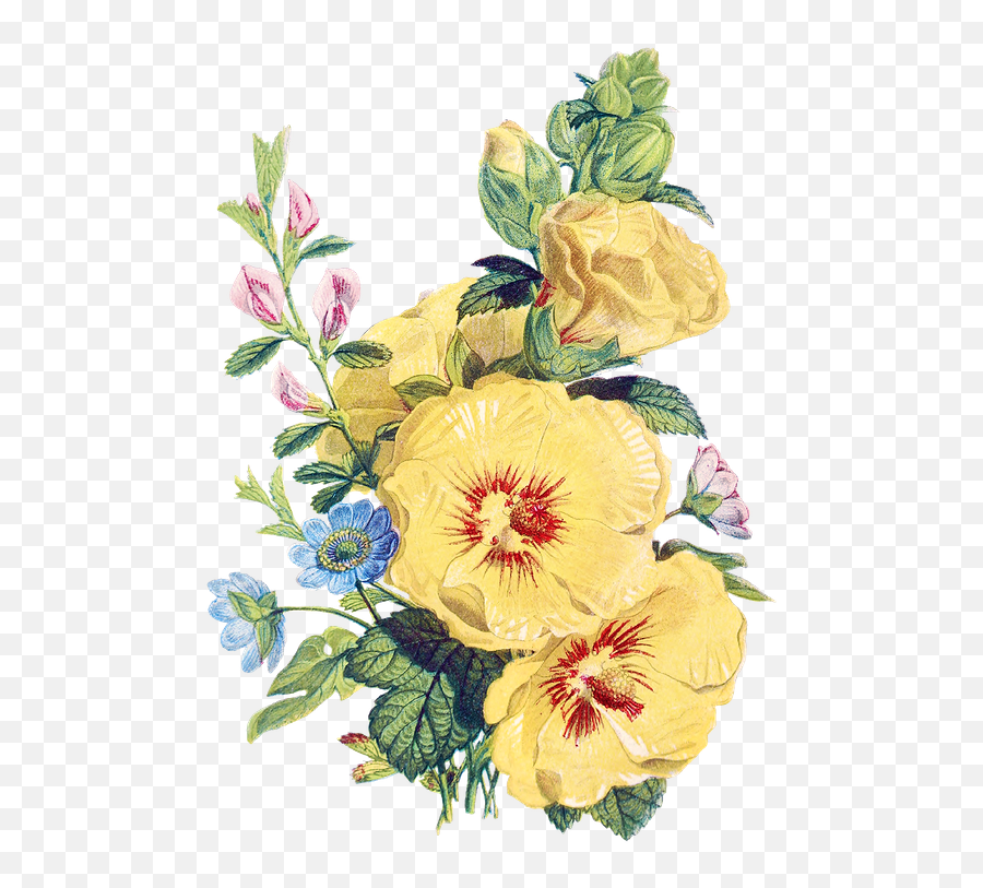 Pin - Flower Bunch Illustration Png,Iris Flower Png