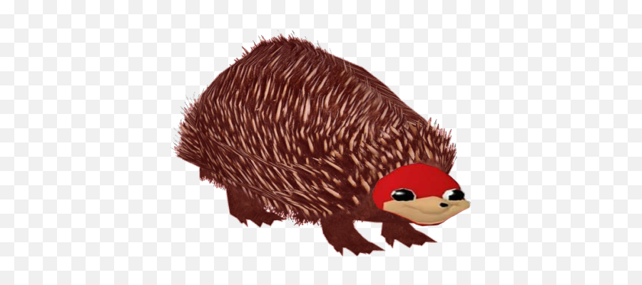 Ugandan Knuckles Doyouknowdawhey Twitter - Soft Png,Uganda Knuckles Png