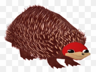 Ugandan Knuckles Doyouknowdawhey Twitter - Soft png