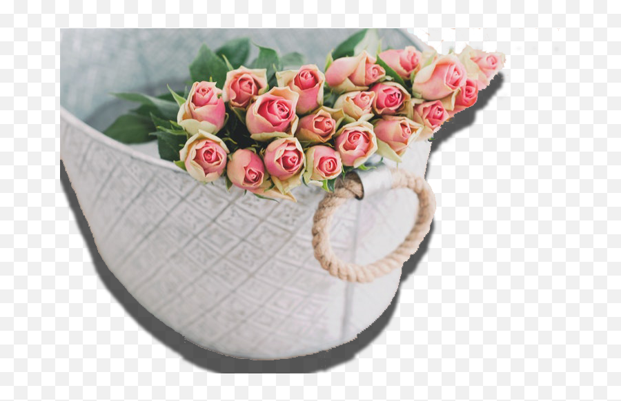Pink Rose Flower Background Hd - Beautiful Good Morning Jumma Mubarak Png,Rose Png Hd