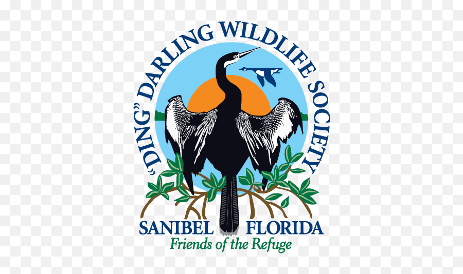 Ding Baby Shower - Sanibel Island Darling National Wildlife Refuge Png,Baby Shower Logo