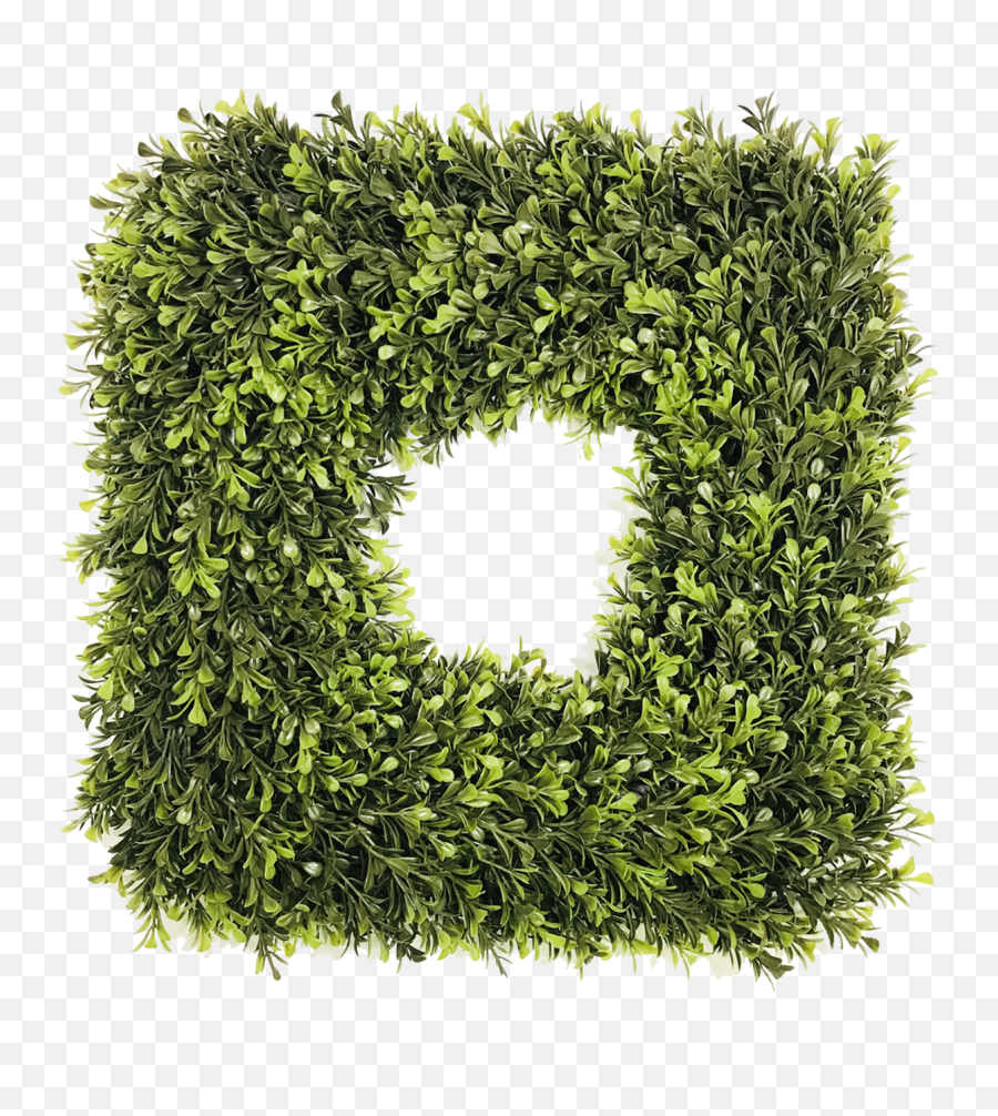 Square Artificial Spring Boxwood Wreath - Circle Png,Boxwood Png
