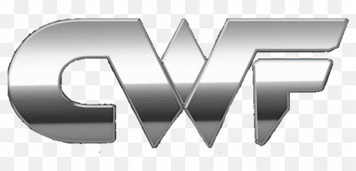 Impact Wrestlings Competitors Revenue - Horizontal png