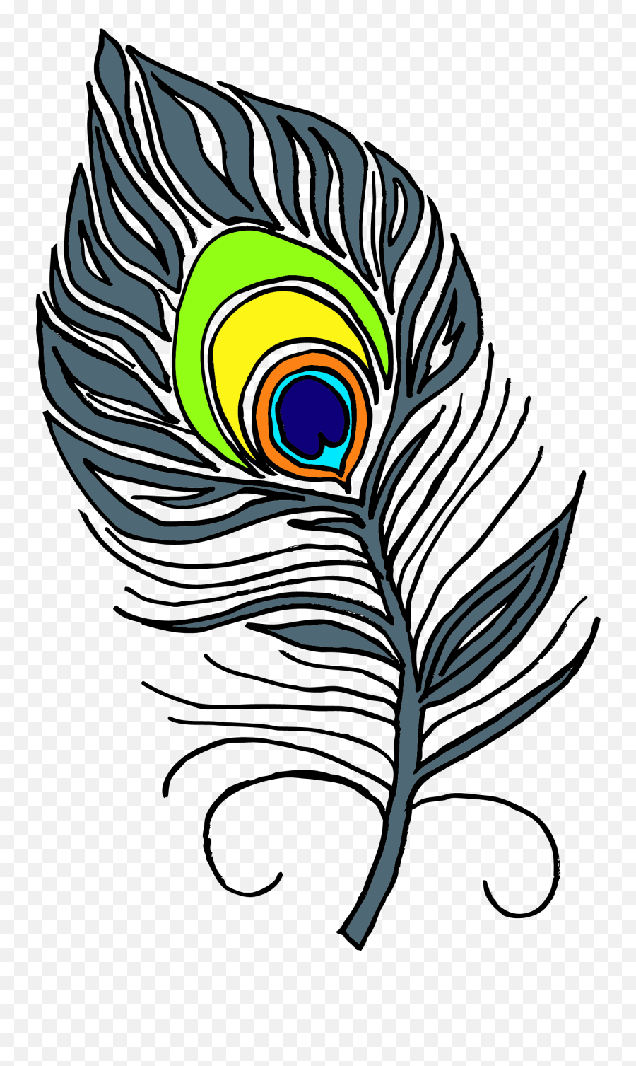 Drawing A Feather From Peacocks Tail - Peacock Feather Clipart Black And White Png,Feather Drawing Png