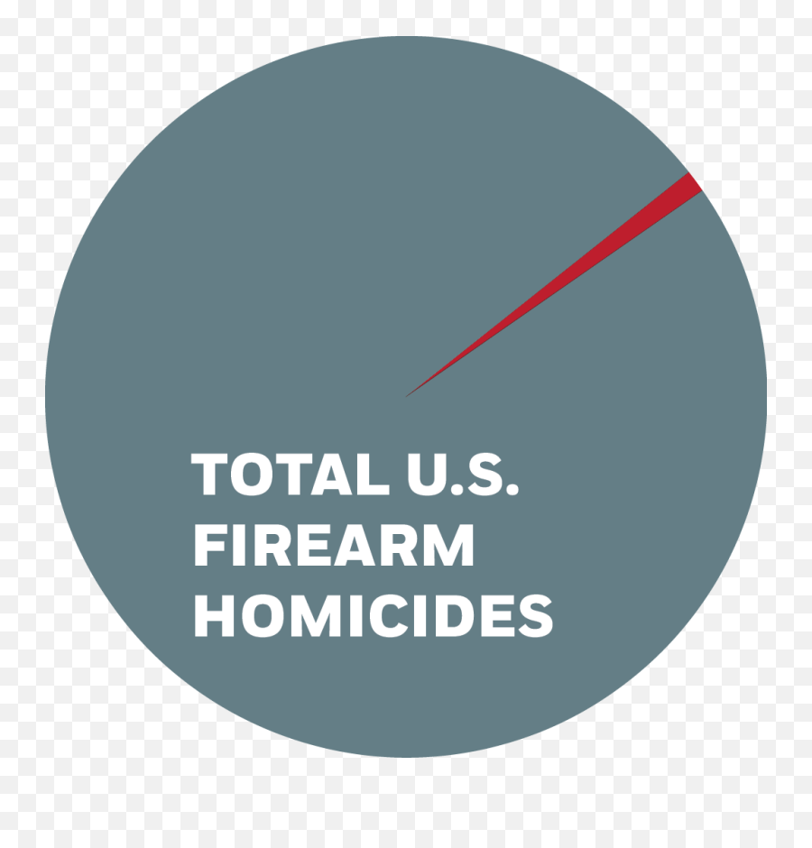 Gun Ownership As A Form Of Freedom Musings - Forza Png,Handgun Magazine Restrictions Icon