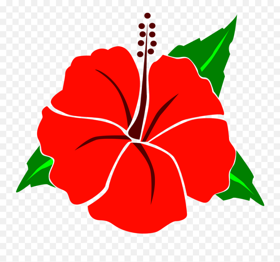 A Baptism - Akumalnow Hawaiian Hibiscus Png,Preacher Folder Icon