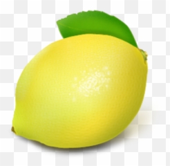 Lemon Psd Free Download Templates U0026 Mockups - Limon Psd Png,Lemon Icon