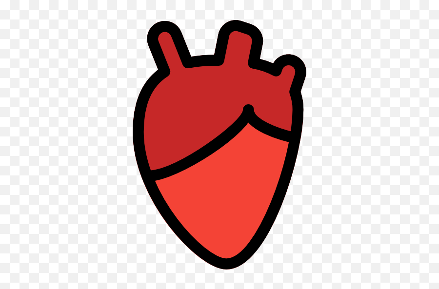 Heart - Free Medical Icons Language Png,Anatomical Heart Icon