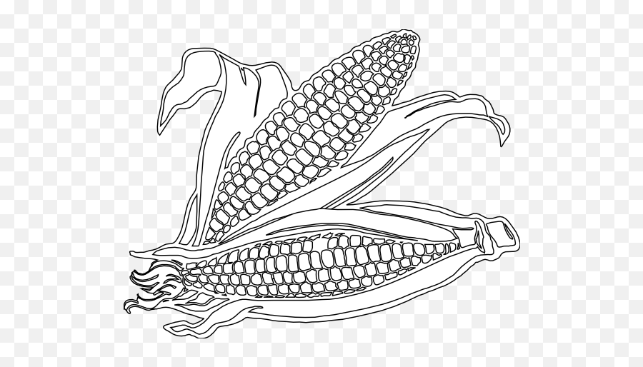Corn Coloring Pages Hd Pho - Corn Clipart Black And White Png,Corn Clipart Png