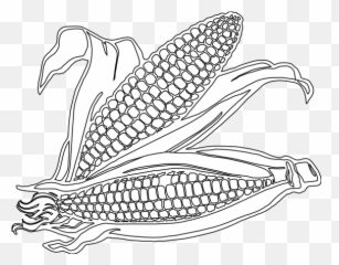 Corn Coloring Pages Hd Pho - Clipart Black And White Png