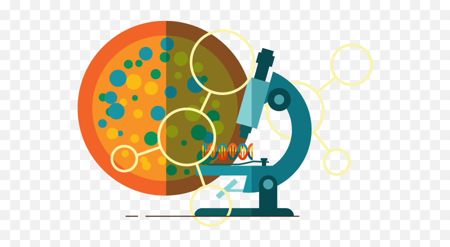 Free Field Work - Interdisciplinary Research Icon Clipart Png,Field Icon