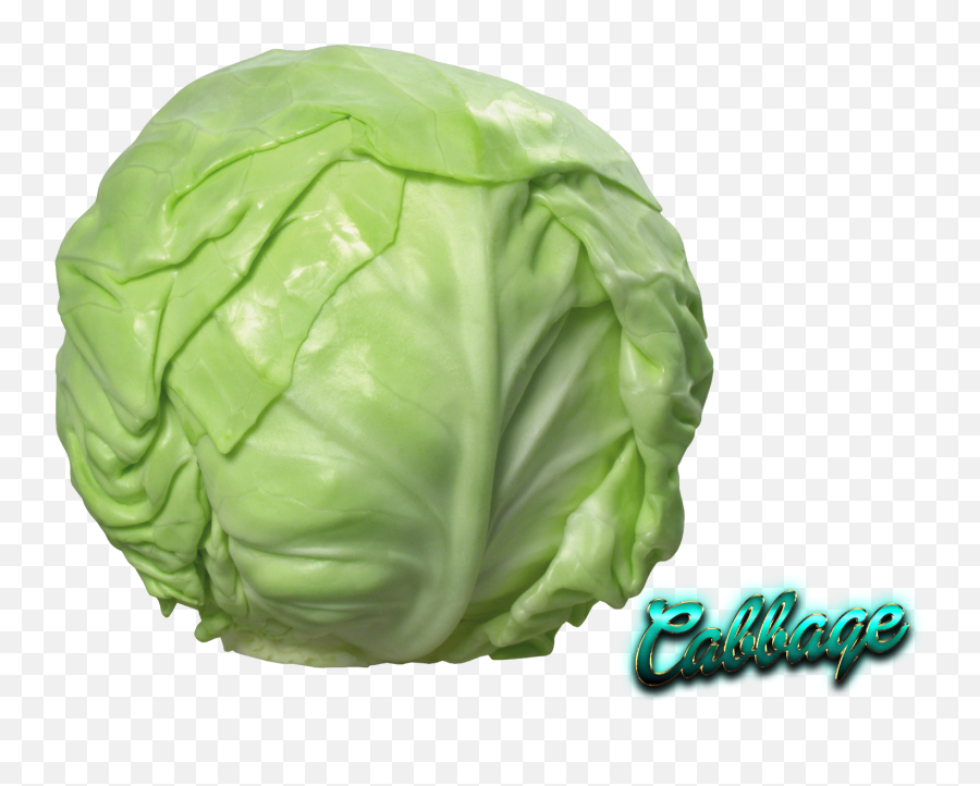 Red Cabbage Cauliflower Savoy - Cabbage Png,Cabbage Png
