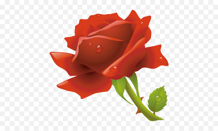 Red Rose Bouquet Png Image Royalty Free Stock Images - Gül Resmi Png,Red Rose Png