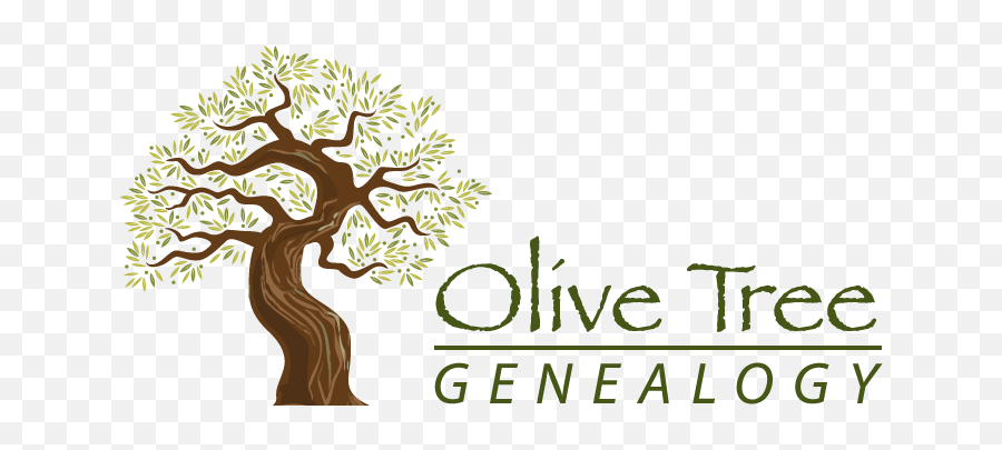 Download Olive Tree Genealogy New Logo - Branches Full Olive Tree Genealogy Png,Olive Tree Png
