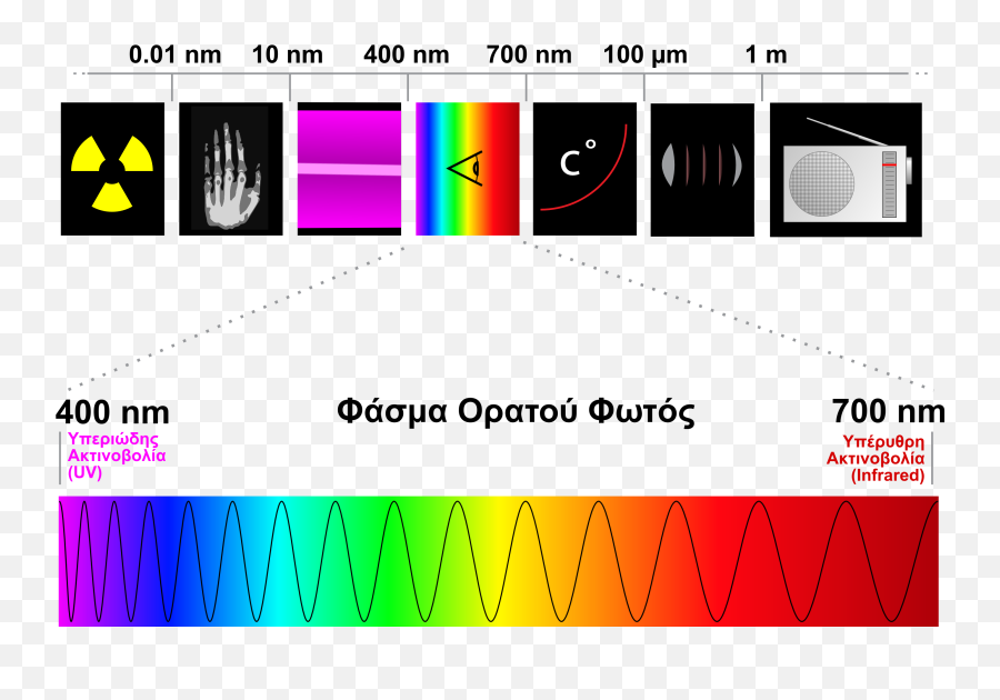 Filespectre Visible Light Elpng - Wikimedia Commons X Rays On The Electromagnetic Spectrum,Rays Of Light Png