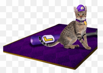 Cat In The Hat Bat Png - Waluigi