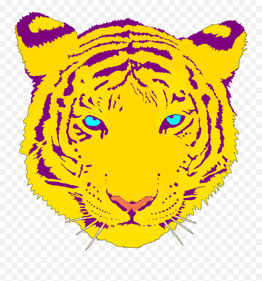 Tiger Head Portrait - White Tiger Face Clipart Png,Tiger Head Png