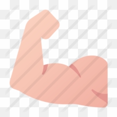 Arm Muscle - Free medical icons Heart png