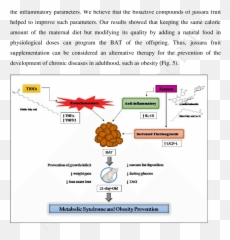Tfas Supplementation And With Jussara 05 Freeze - Dried Screenshot Png,Offspring Logo