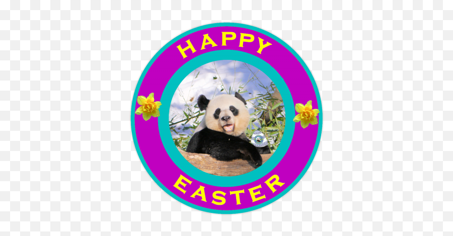 The Year Of Panda - Happyeaster My Pandas Youth Parliament Png,Happy Easter Png