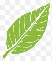 Leaf Nature Green - Gambar Daun Transparan Png