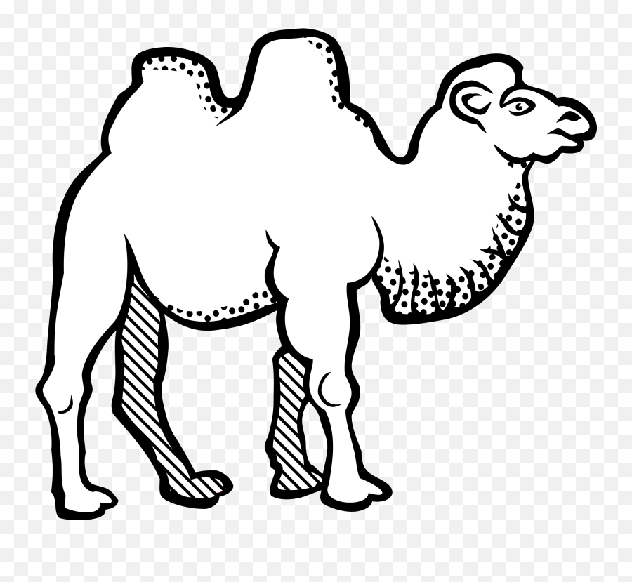Camel Clipart Transparent - Bactrian Camel Clipart Black And White Png,Camel Transparent