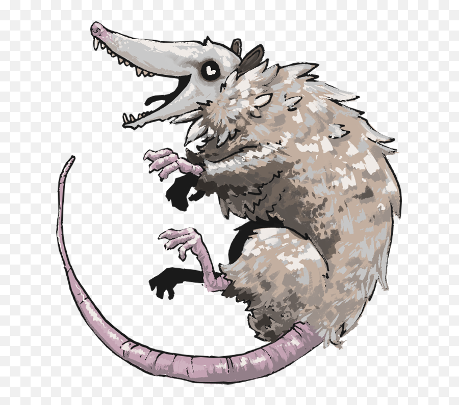 Opossum My Possum - Opossum Png,Opossum Png