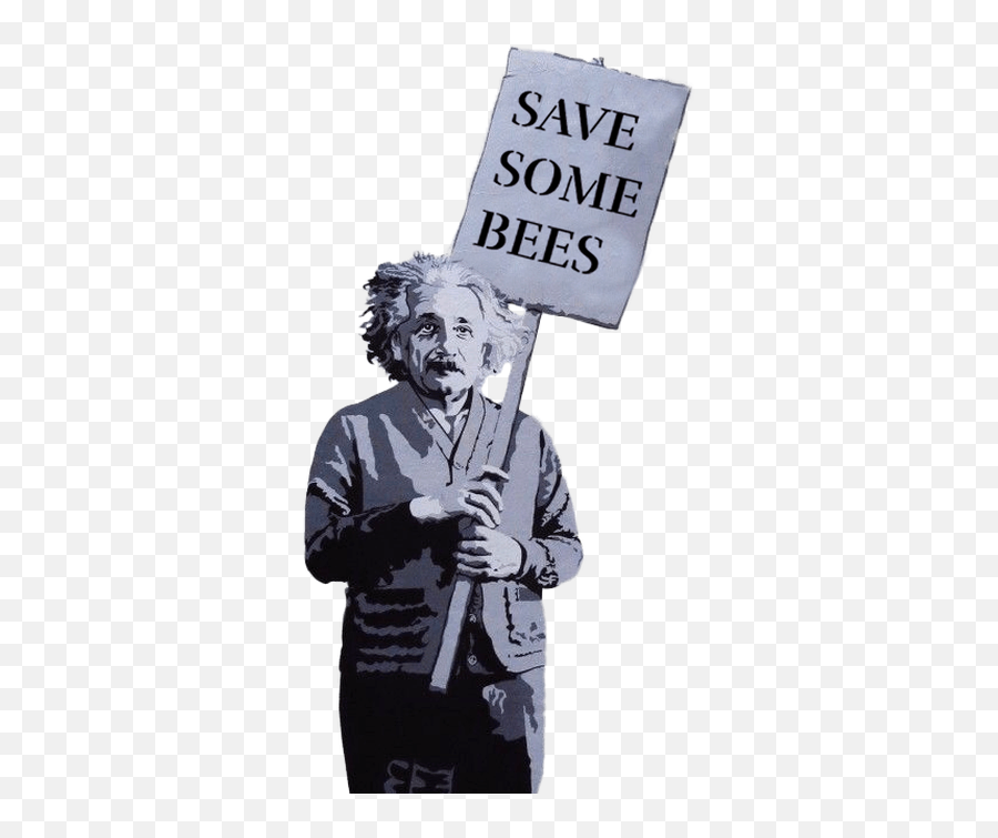 Bees Beeyond - Einstein Love Is The Answer Art Png,Albert Einstein Png