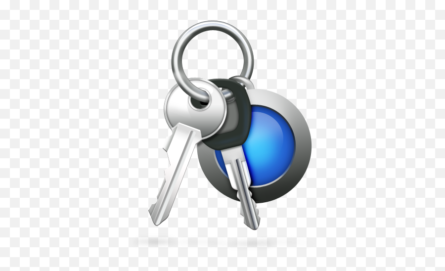 Access Car Keys Keychain - Car Keys Icon Png,Car Key Png