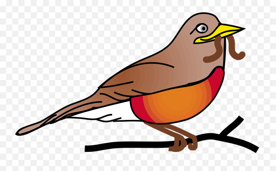 50 Free Robin U0026 Bird Illustrations - Pixabay Robin Clipart Png,Robin Transparent