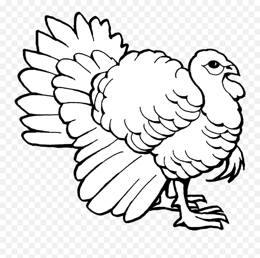Turkey Outline - Colouring Pages Of Turkey Png,Turkey Transparent