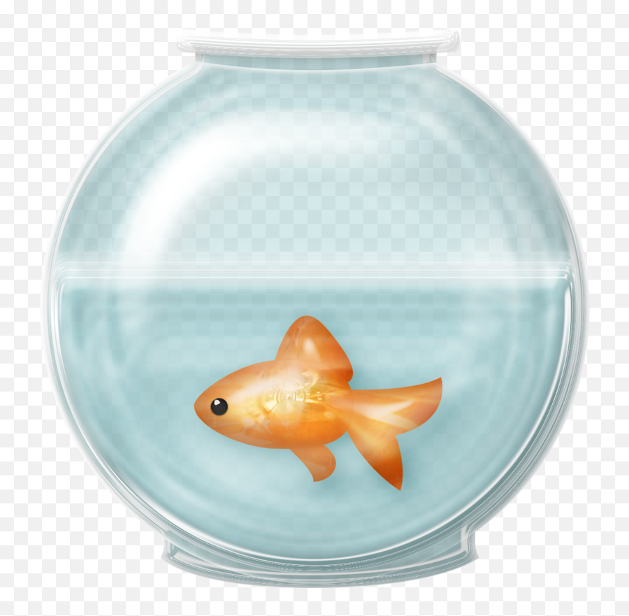 Goldfish Clip Art - Fish Bowl Transparent Background Png,Goldfish Transparent