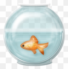 Goldfish Clip Art - Fish Bowl Transparent Background png