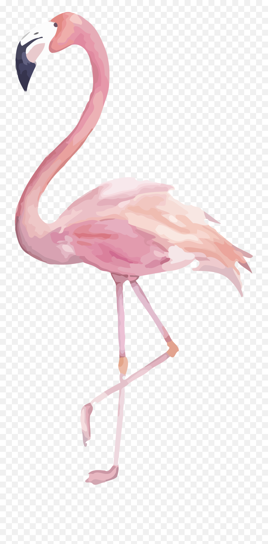 Png Image Transparent Flamingo Clipart - Transparent Background Flamingo Clipart,Watercolor Clipart Png