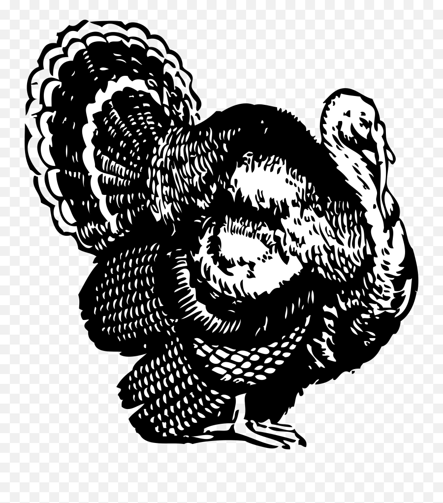 Turkey Png Transparent Background Image For Free Download - Thanksgiving Turkey Clipart Black And White,Thanksgiving Transparent Background