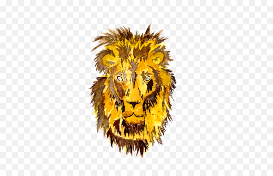 Watercolor Lion Head By Zeichenbloq Inktale Png Transparent